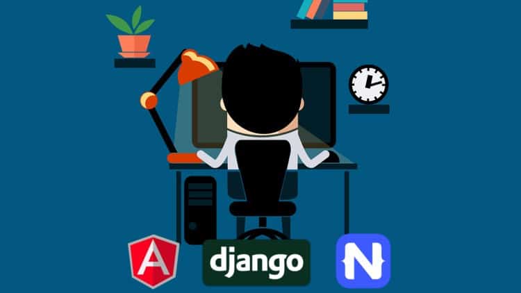 Full Stack dev - web, mobile, back-end API (Angular, Django)